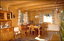 Holz Pilz - Sanierung