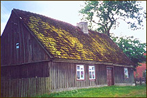Holz Pilz - Sanierung